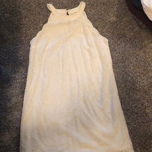 Cream Lace Scalloped Dress